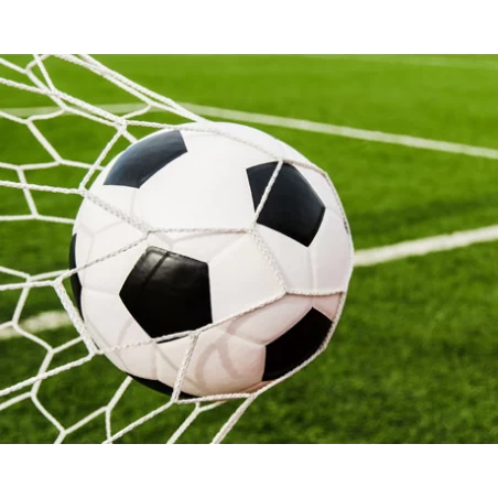 Graszaad Green Star SV 100 Herstel 15kg - Afbeelding 2