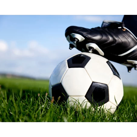 Graszaad Green Star SV 7 15 Kg - Afbeelding 2