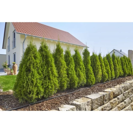 Gardena Micro-Drip-System Startset S Voor 15m Rijplanten